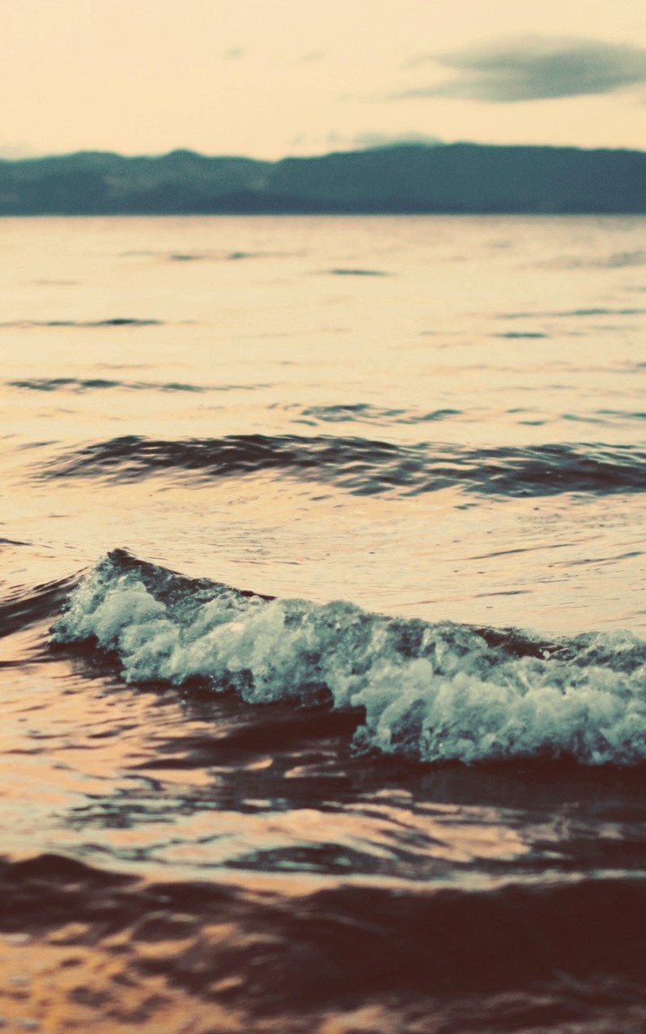 #sea#seashore