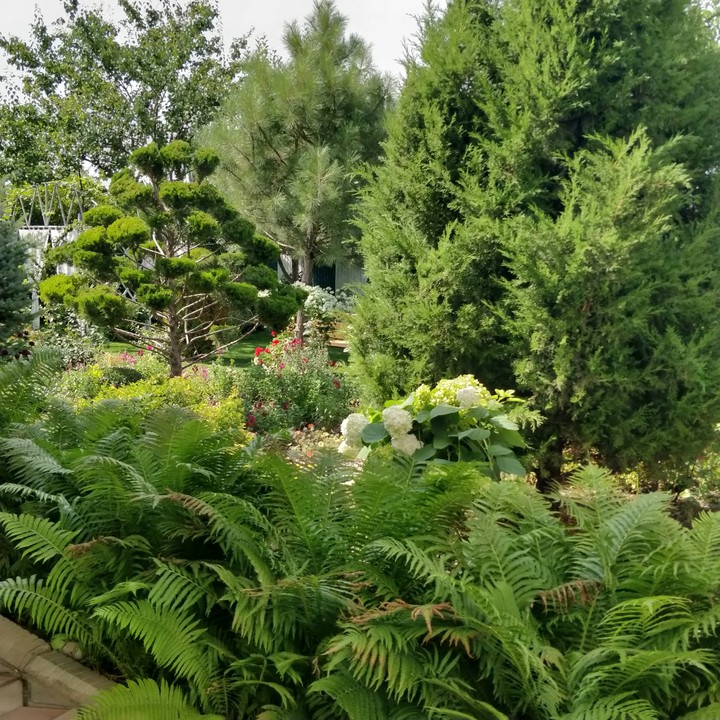 place