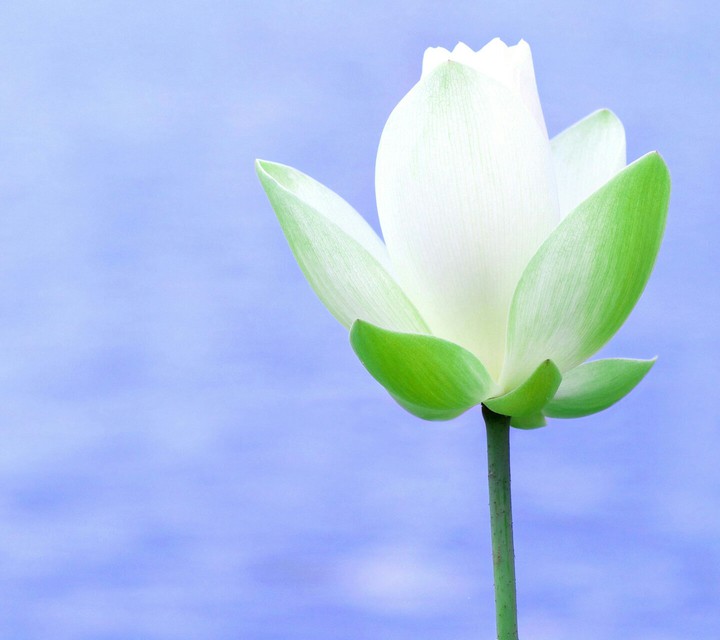 Hope