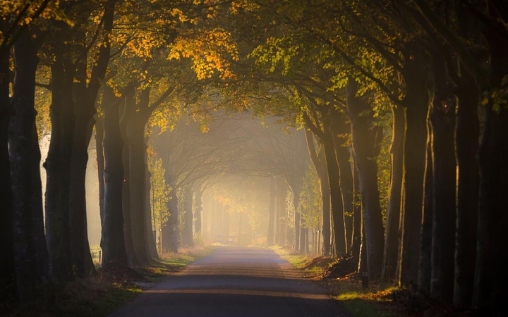 nature