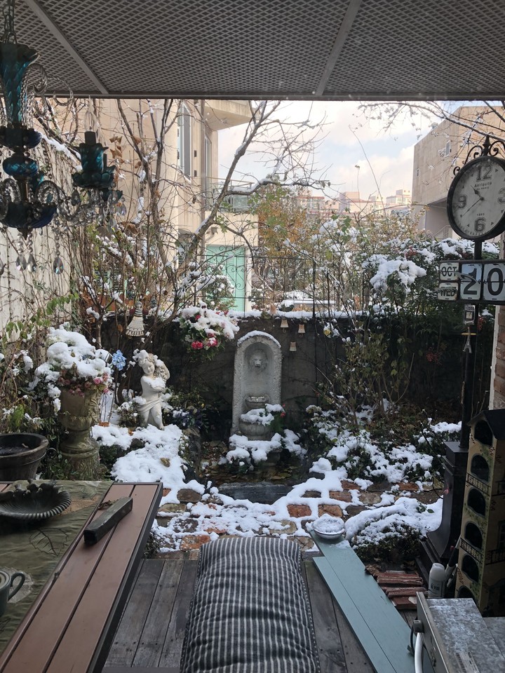 Snowy