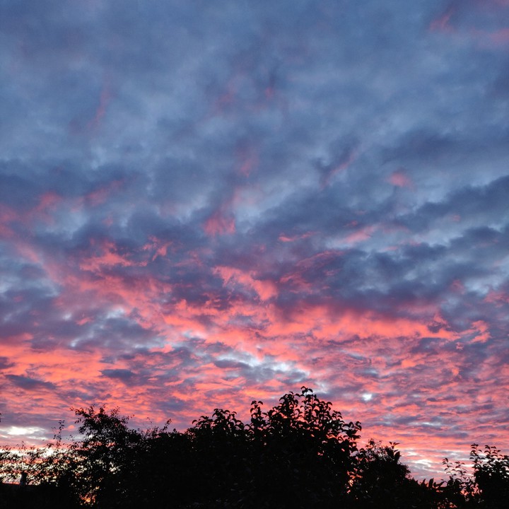 everything is prettier from the sun's perspective