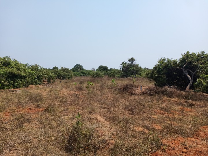 mundhiri