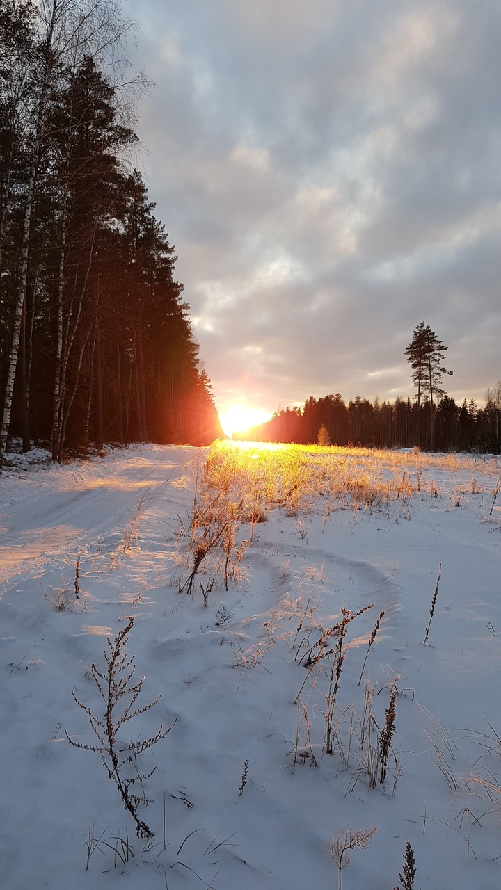 ❄
