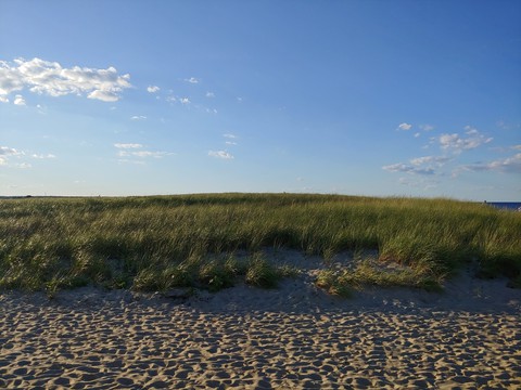 Scusset beach2