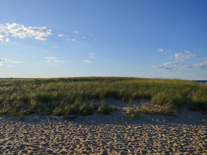 Scusset beach2
