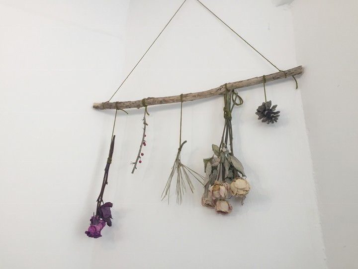 dry flower