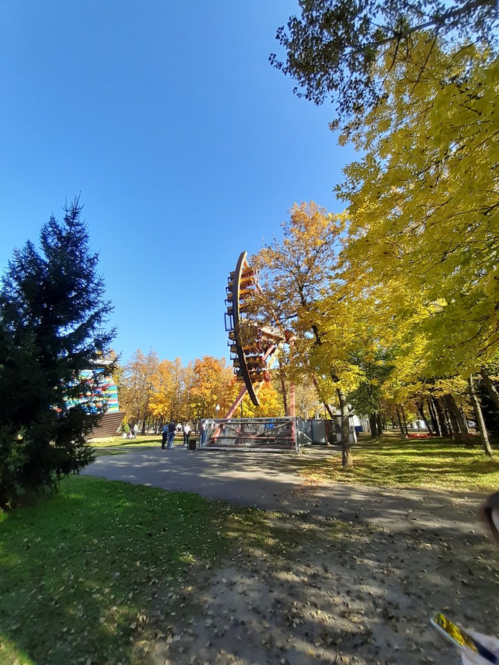 парк осень