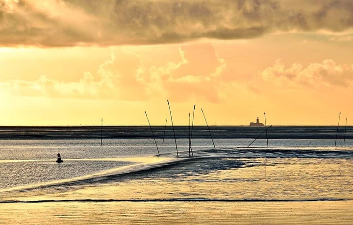 Nordsee bei Ebbe