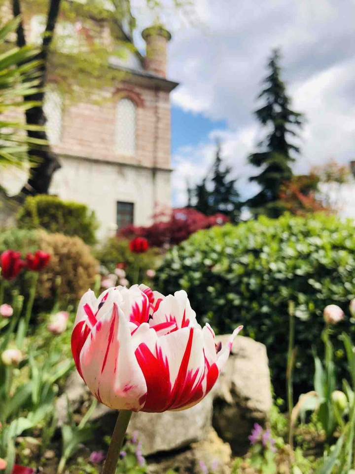 Şeb Ayşe Sultan Camii