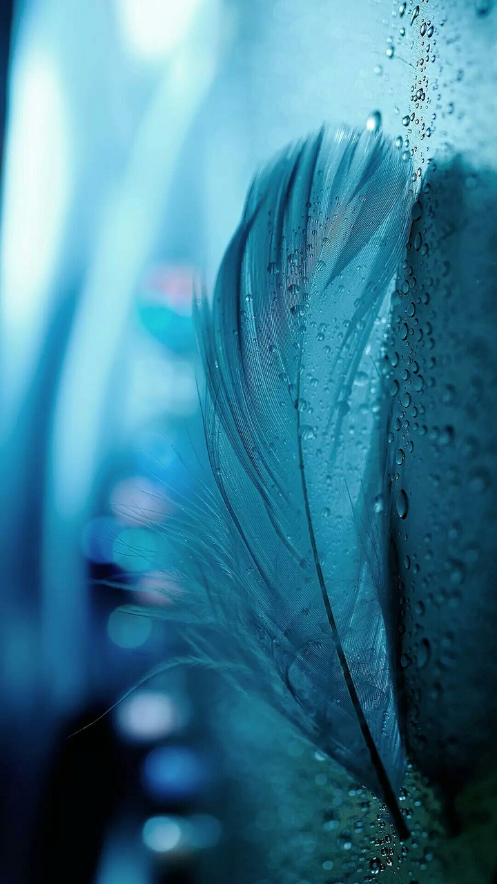 wet feather