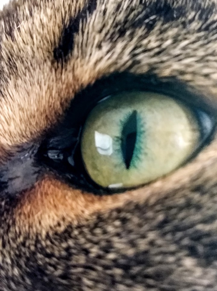 Ojo ?️