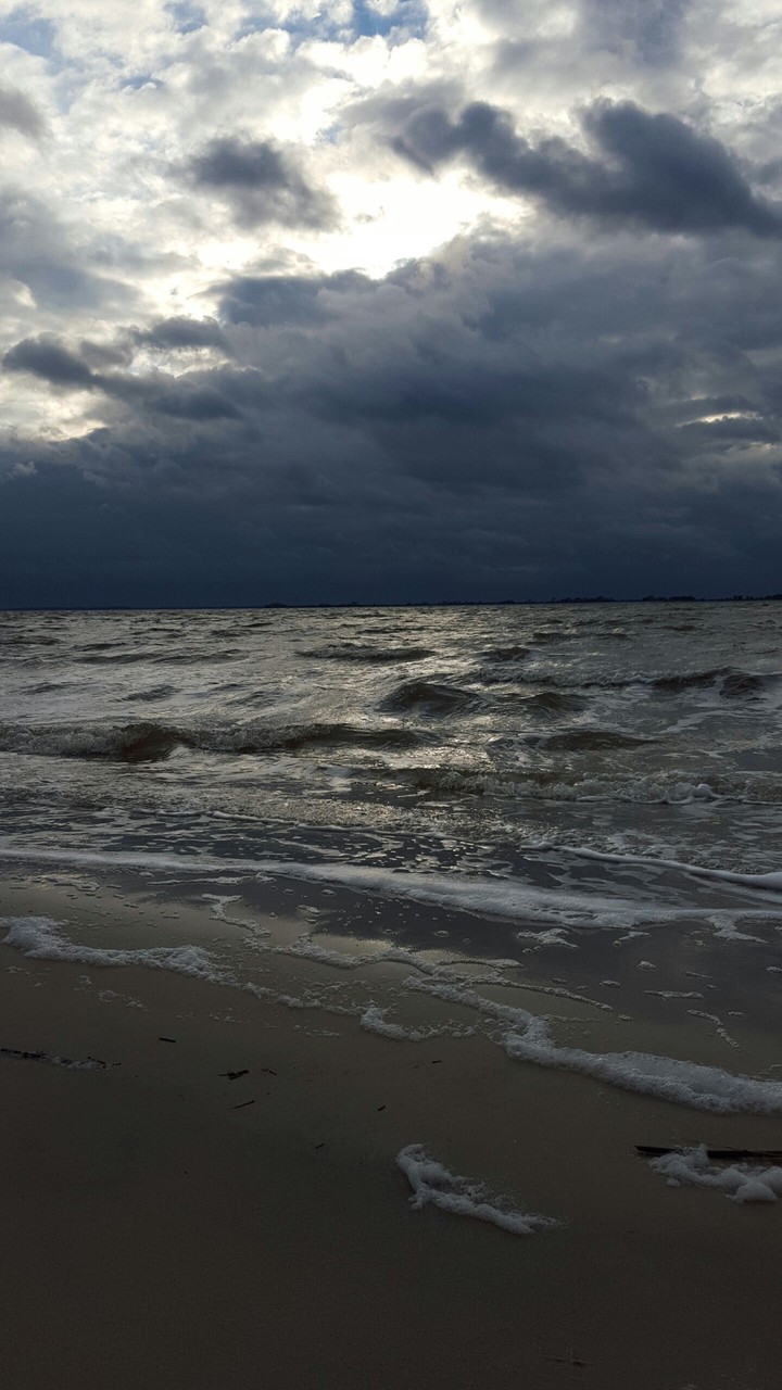 Dark Water