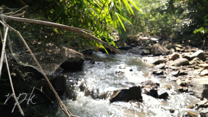 rpk photography
