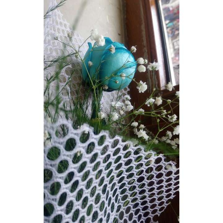 blue rose