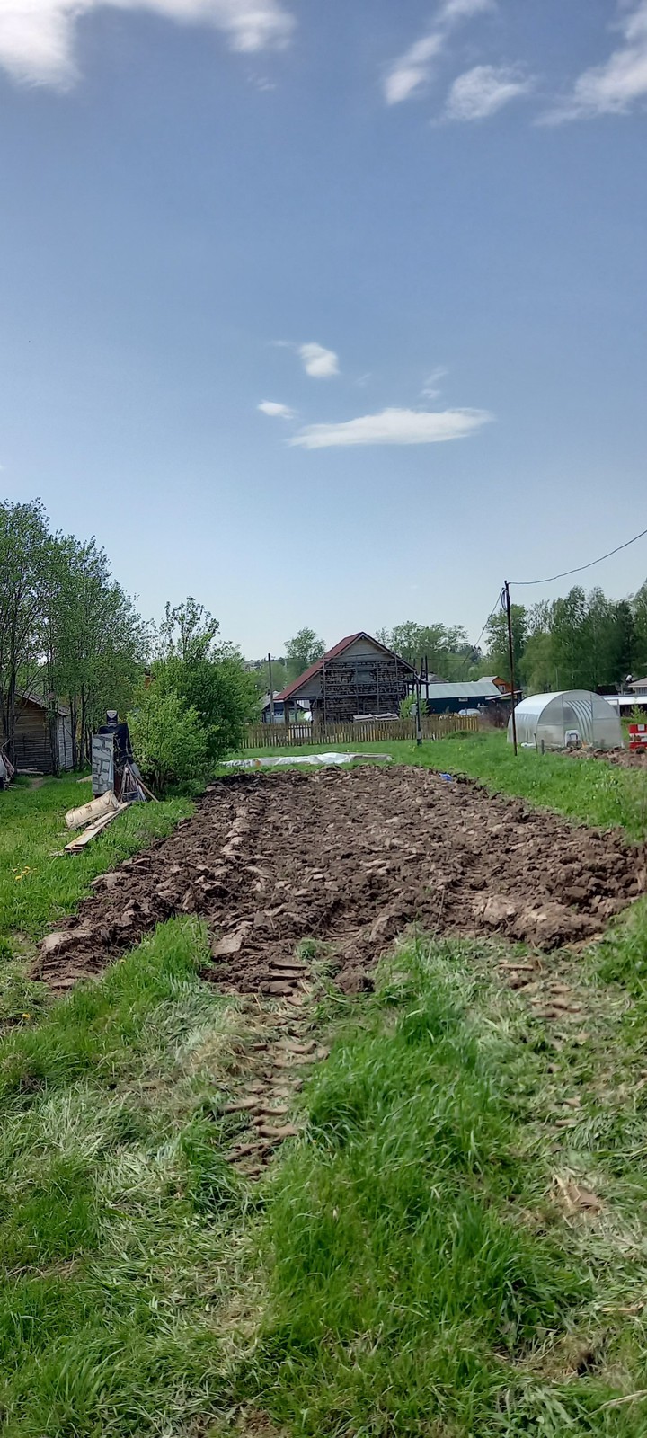 огород 1
