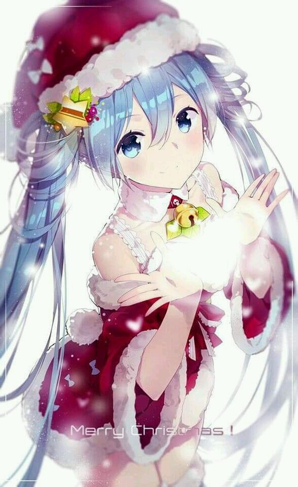 Merry Christmas !