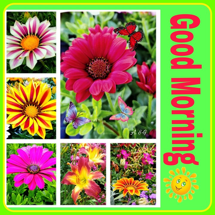 good Morning