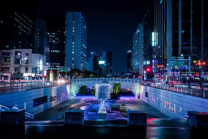 The life of a one hundred year tree, night view of Seoul