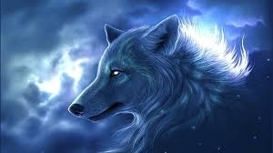 wolf