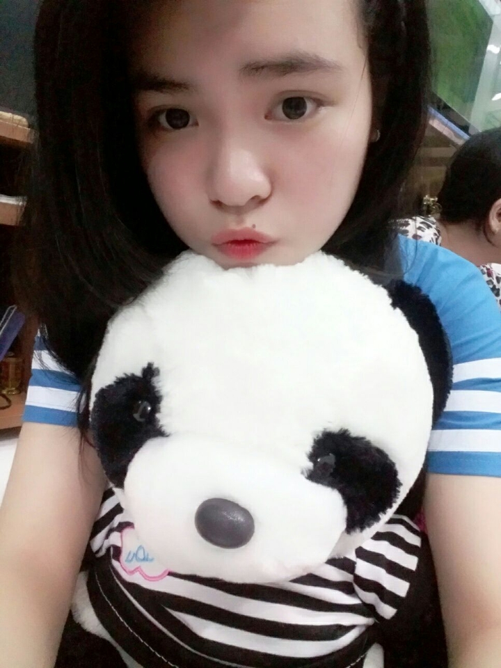 panda