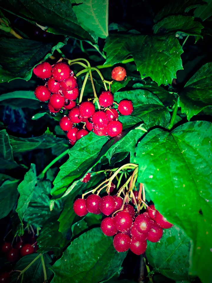 after rain