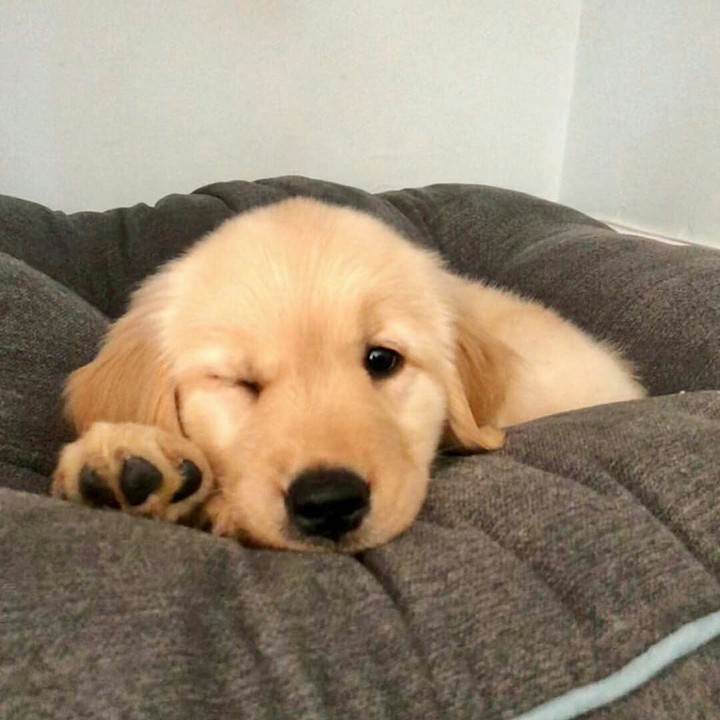 ❤