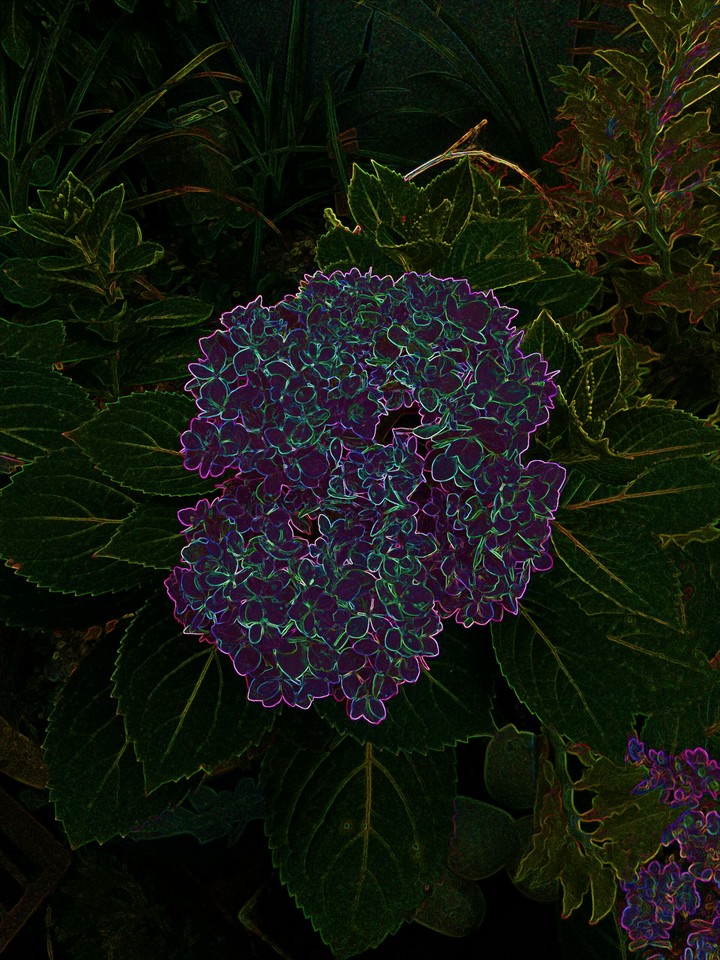 LED