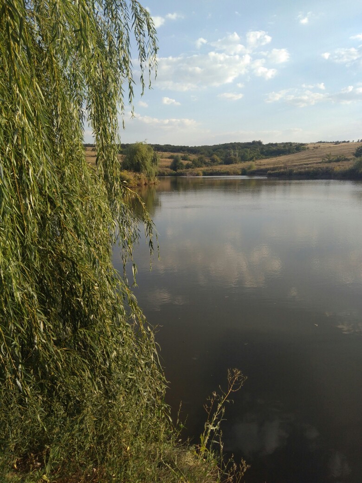 пейзаж