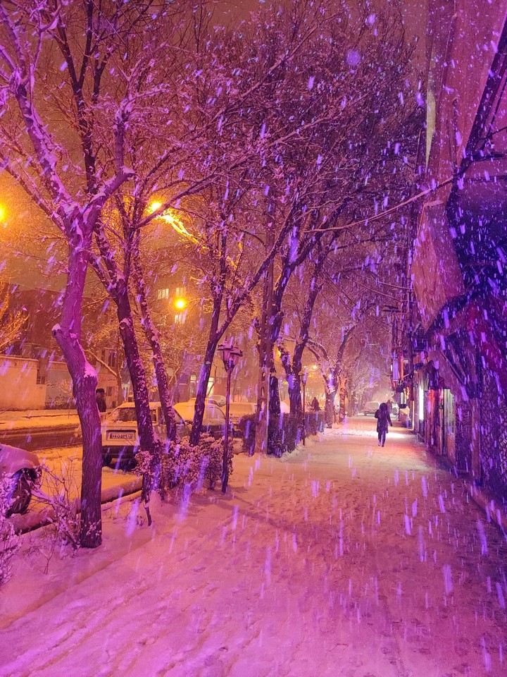 Winter Snow