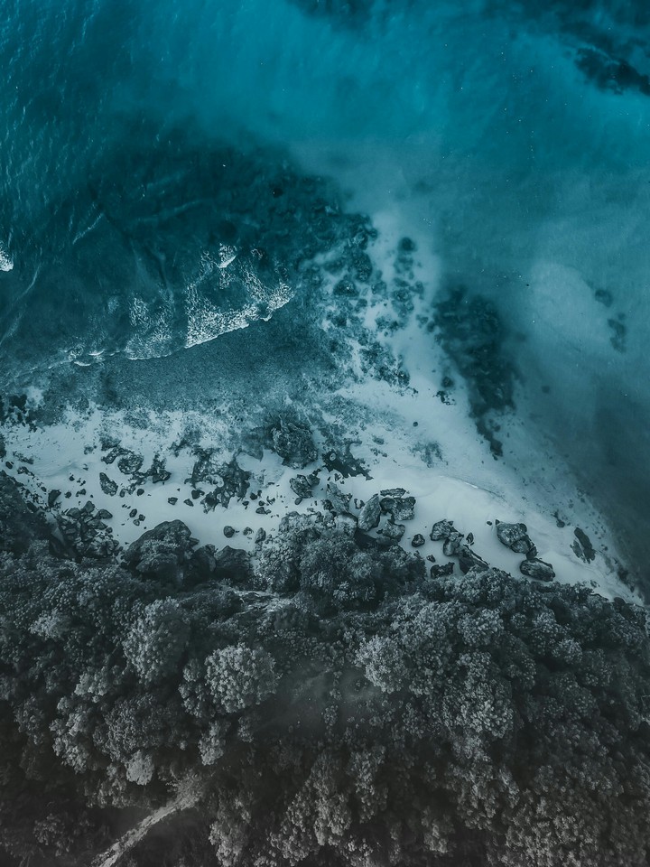 #blue_sea