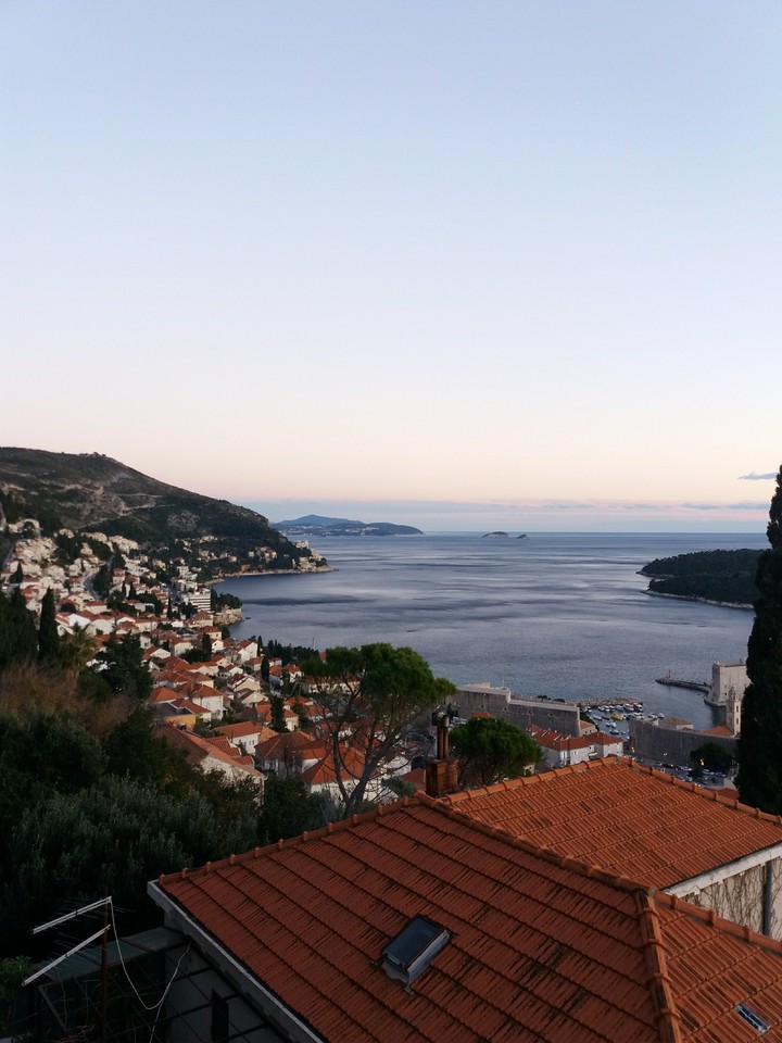 view