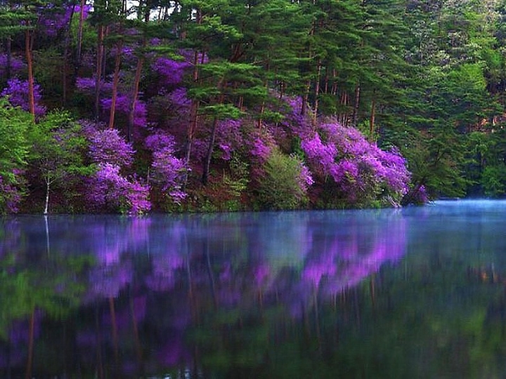 природа 
