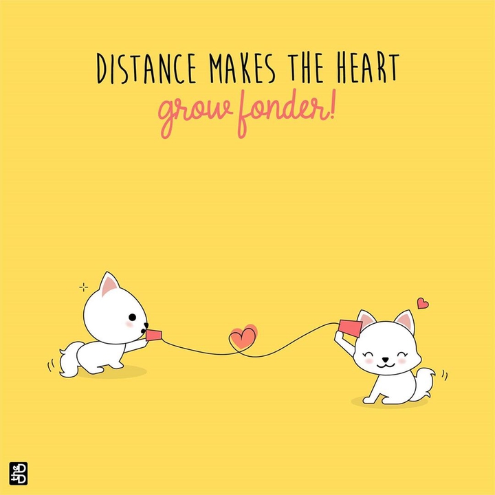 Distance creates more fondness