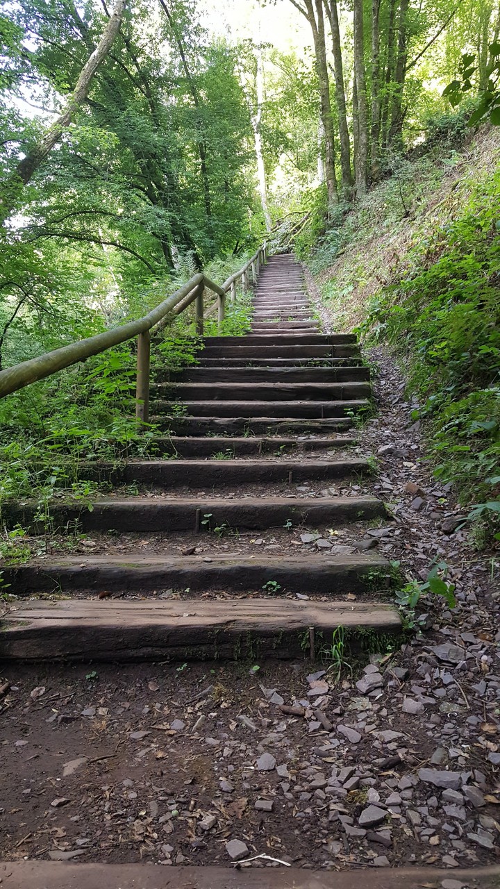 Saarschleife Wanderweg