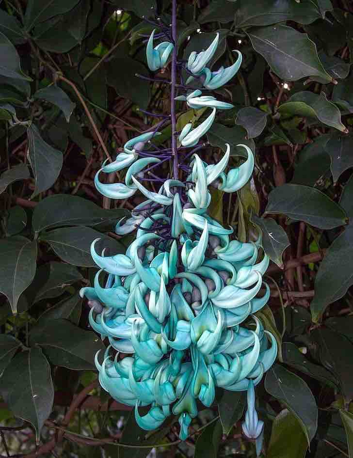beautiful color