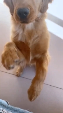 ❤️❤️❤️
