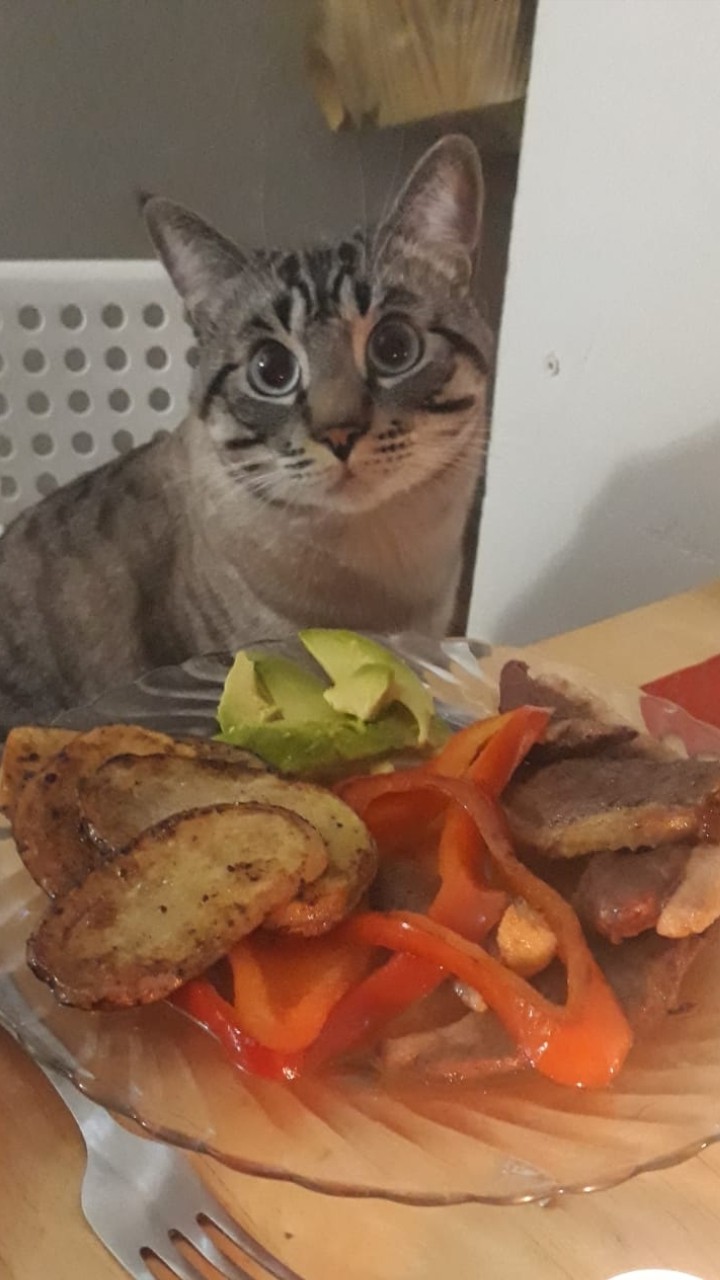 С чего начать?