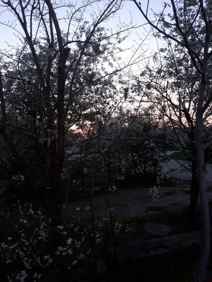 вечер