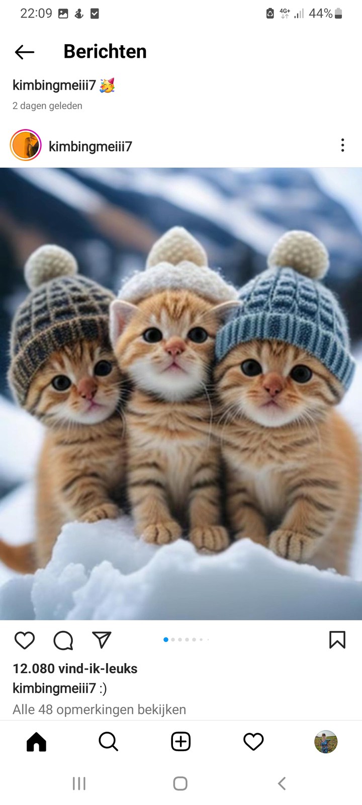 lovely kittens