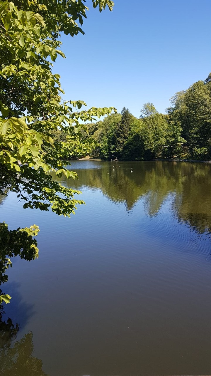 #river#nature
