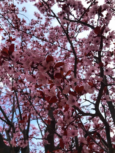 Spring is here..