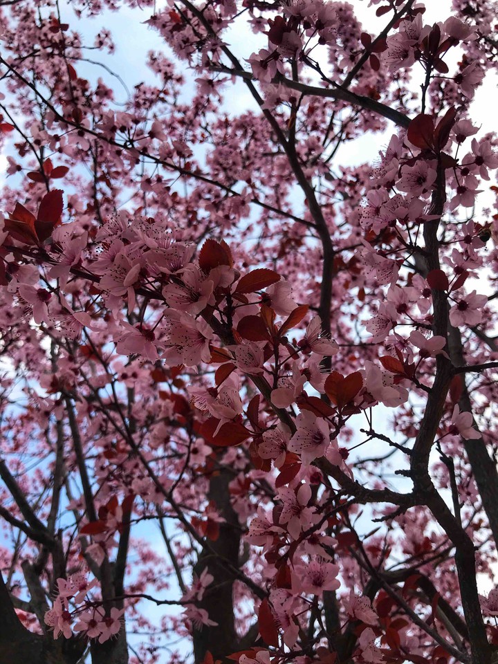 Spring is here..