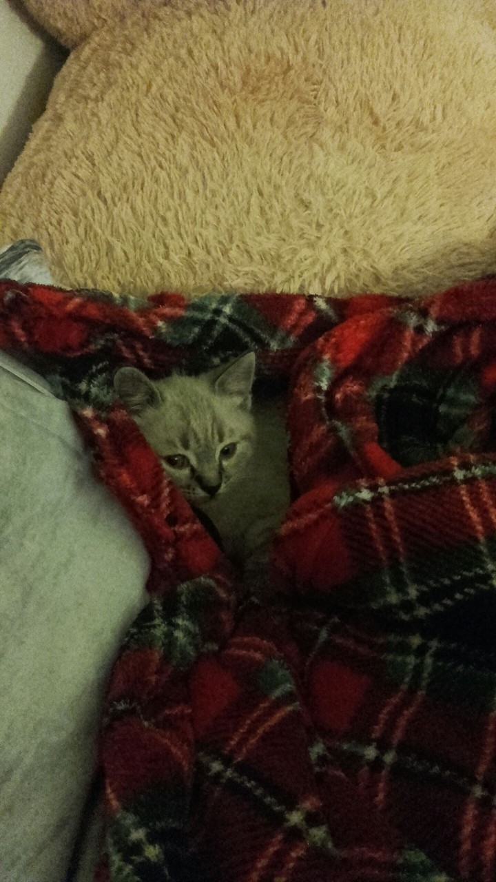 cold..