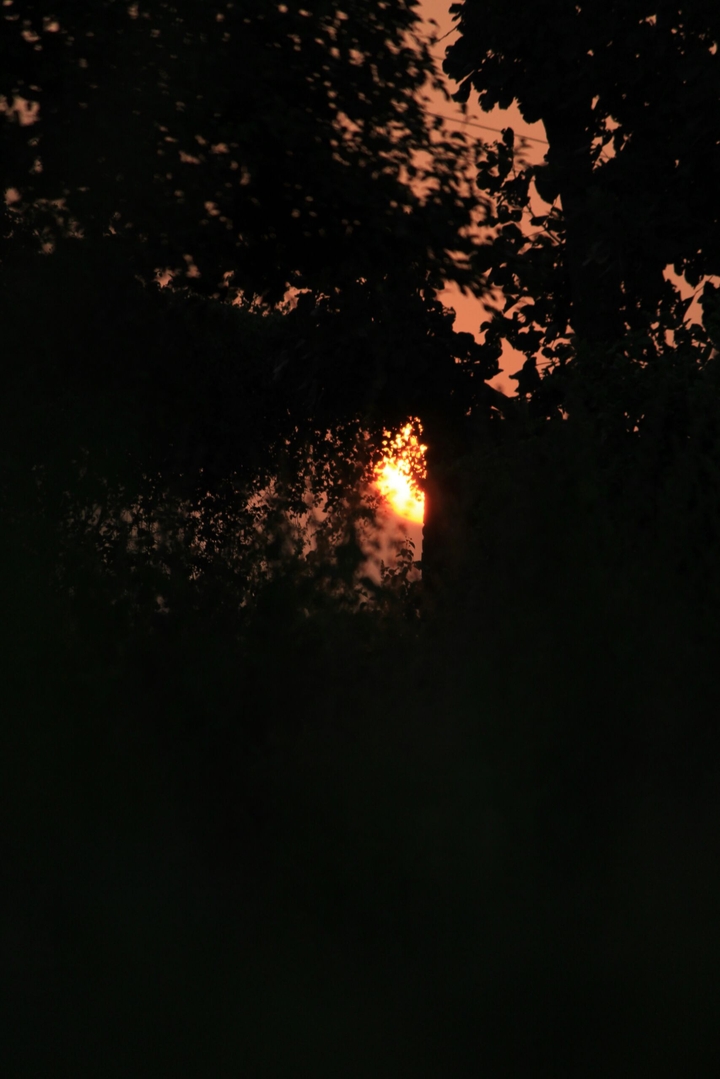 orange sun