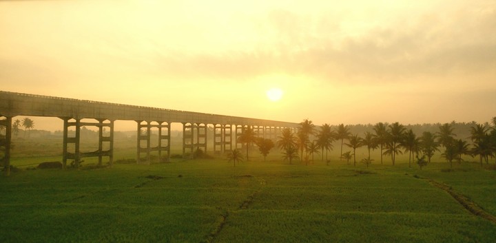 nature