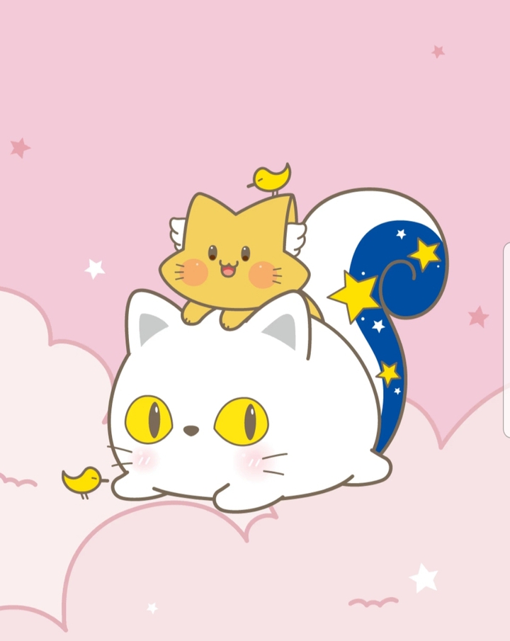 별고양이와 고양이 별
