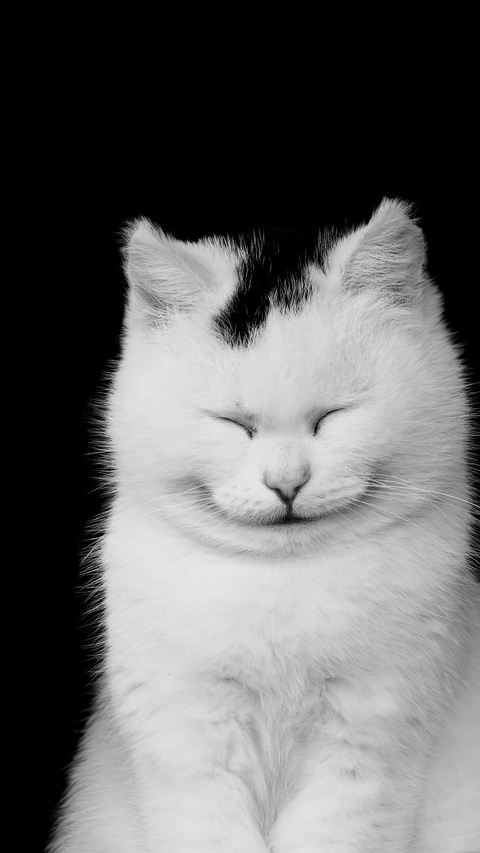 Caty