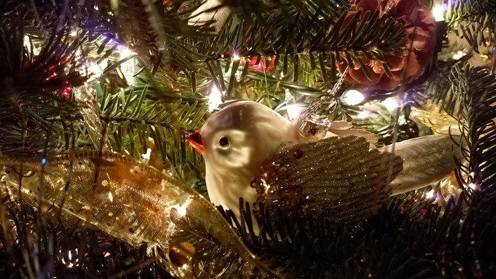 Christmas tree bird