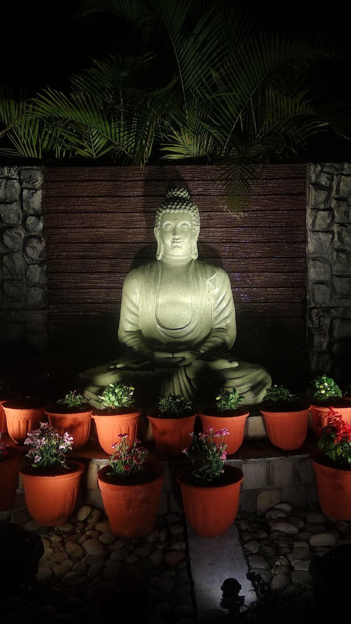 Buddha